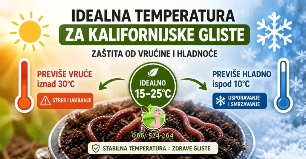 Idealna temperatura za kalifornijske gliste