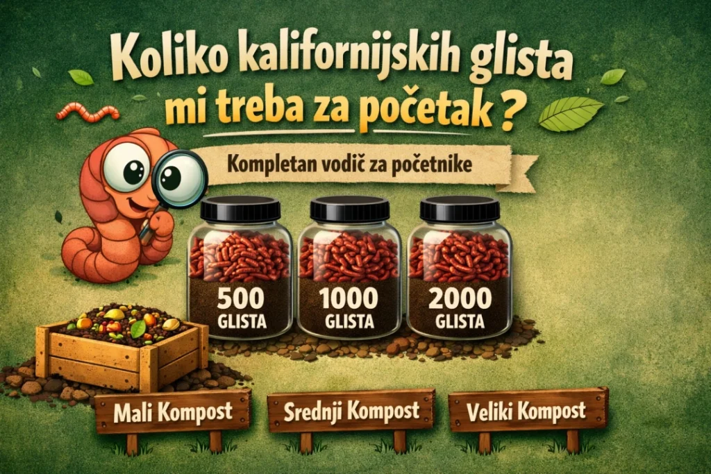 koliko kalifornijskih glista treba za pocetak kompletan vodic za pocetnike